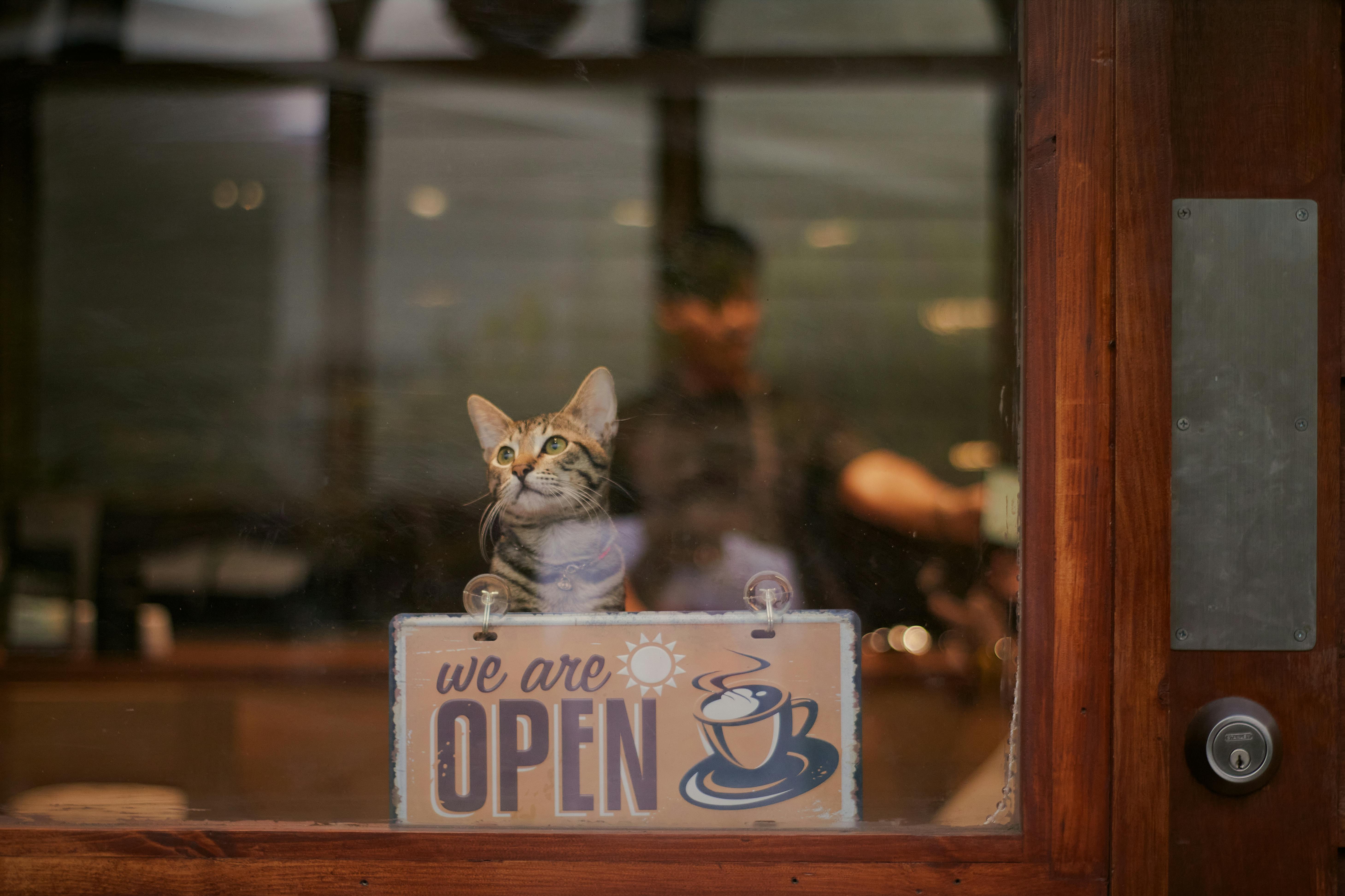 Entrepreneurship Advising